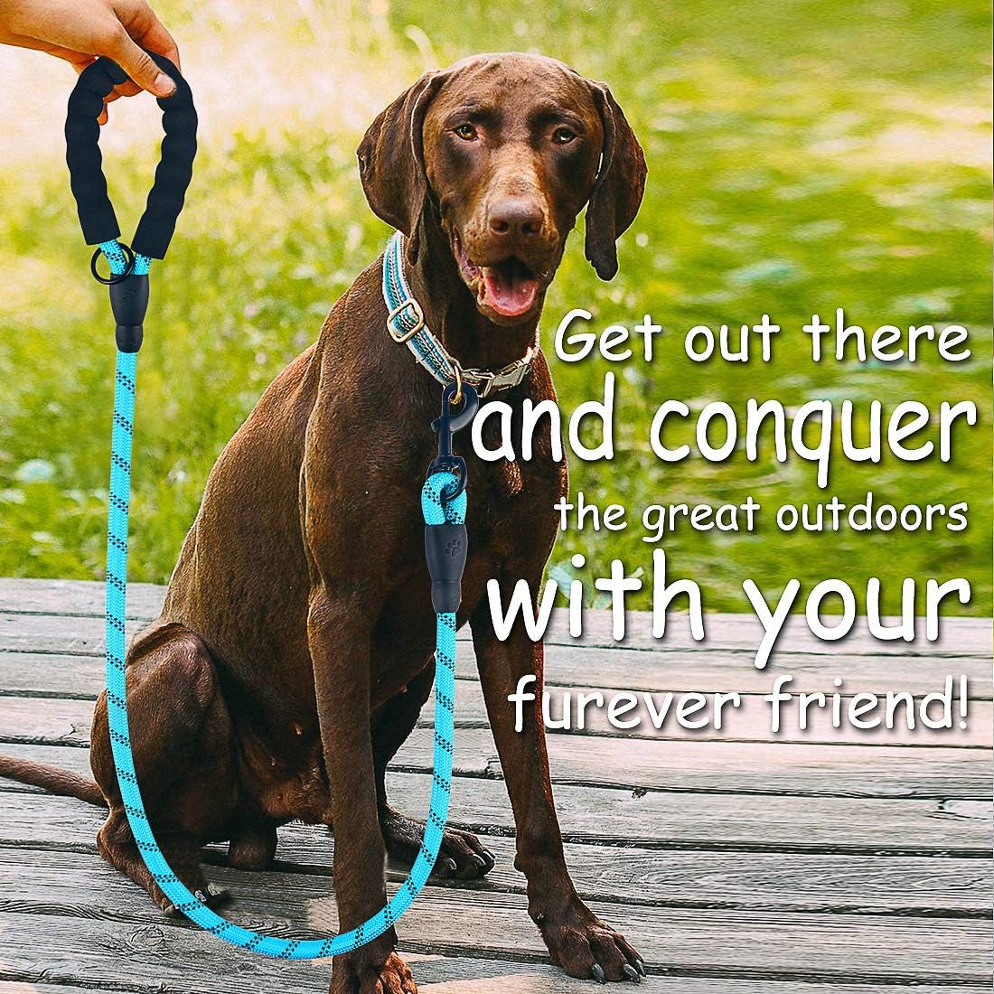Dog Leash - 2FT/5FT/6FT Thick Nylon Rope with Comfortable Padded Handle, Reflective, Collapsible Pet Bowl & Garbage Bags (Blue, 1/3" X 5 FT)